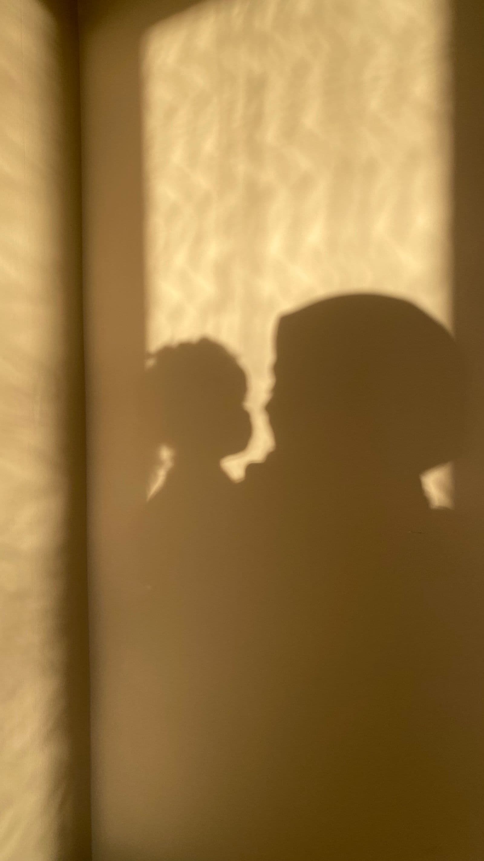 The shadows of a mother and her child on a wall lit gold by a window.